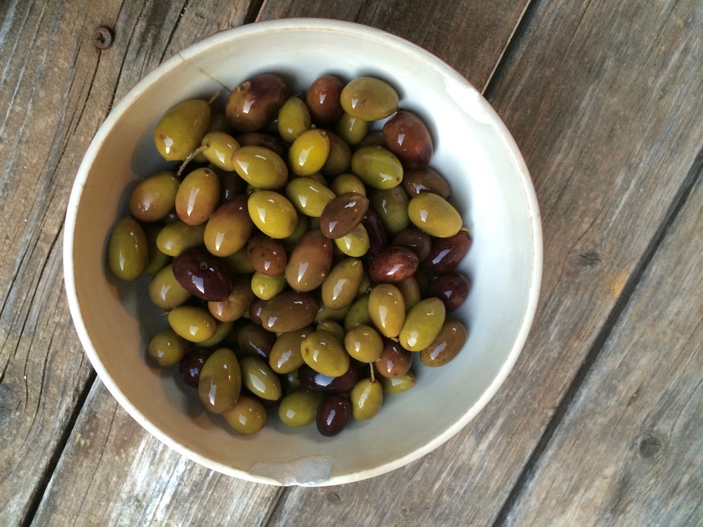 Home brined olives