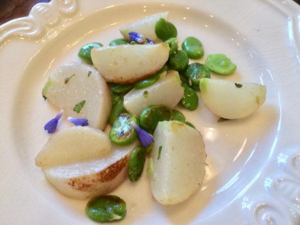 Favas and Turnips of Spring