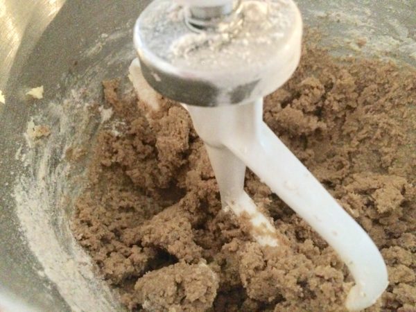 With the mixer set at low, add the dry ingredients to the butter mixture and mix just until all the ingredients are blended together to form a soft dough.  